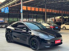 Tesla Model Y Rear-Wheel Drive - фото 3