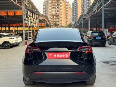 Tesla Model Y Rear-Wheel Drive - фото 8