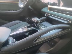 Geely L 2.0TD 2WD Edition - фото 19