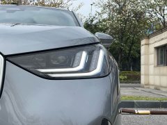 BMW X3 xDrive30L Deluxe Version M - фото 8