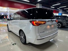 Buick GL8 ES Land 653T Luxury - фото 6