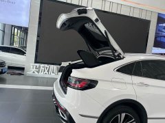 Volkswagen X 330TSI 2WD Edition - фото 15