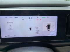 Lexus Sea Lion 05 EV 520KM Flagship Smart Driving Edition - фото 3