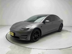 Tesla Model 3 Standard Range Edition 3D6 - фото 1