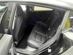 Tesla Model 3 Standard Range Edition 3D6 - фото 5