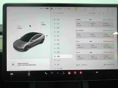 Tesla Model 3 Standard Range Edition 3D6 - фото 8