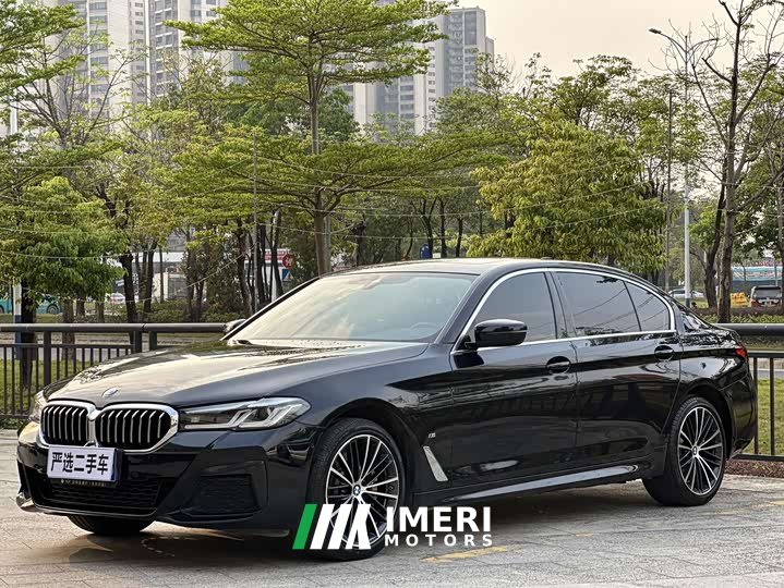 BMW 5 Series 530Li Leading M Sports Package - автомобиль из Китая