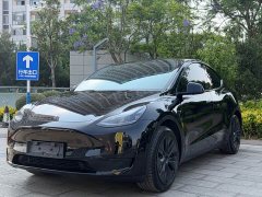 Tesla Model Y Rear-Wheel Drive - фото 1