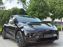 Tesla Model Y Rear-Wheel Drive - фото 3