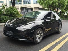 Tesla Model Y Rear-Wheel Drive - фото 1