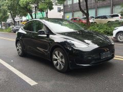 Tesla Model Y Rear-Wheel Drive - фото 3