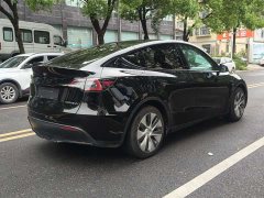 Tesla Model Y Rear-Wheel Drive - фото 7