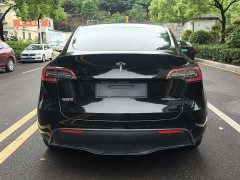 Tesla Model Y Rear-Wheel Drive - фото 8