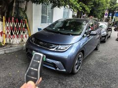 BYD Dolphin Honor Edition 420km Free Edition - фото 1