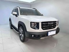 Havaldog 1.5T DCT two-wheel drive Labrador version - фото 2