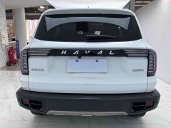 Havaldog 1.5T DCT two-wheel drive Labrador version - фото 6
