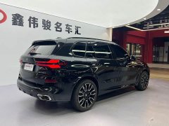 BMW X5 2023 xDrive 40Li M Sport Night Edition - фото 17