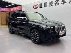 BMW X5 2023 xDrive 40Li M Sport Night Edition - фото 4