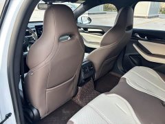 BYD Qin PLUS Honor Edition DM-i 55KM Leading - фото 11