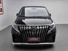Trumpchi M8 Master Series 390T Premium Edition - фото 3