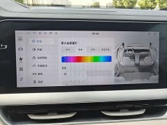 Geely Xingyue L 2.0TD high-power automatic two-wheel drive flagship - фото 11