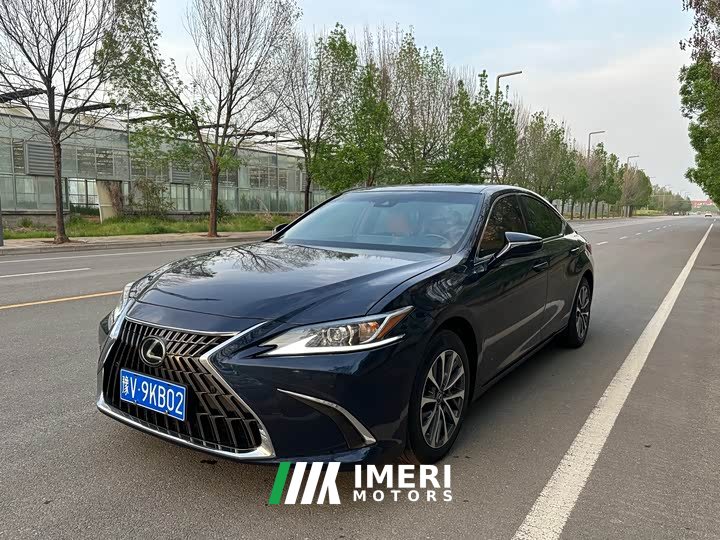 Lexus ES 2022 300h Excellence Edition - автомобиль из Китая