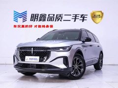 Lincoln Voyager 2.0T four-wheel drive Atlantis Exclusive Edition - фото 1