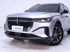 Lincoln Voyager 2.0T four-wheel drive Atlantis Exclusive Edition - фото 3