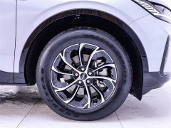 Lincoln Voyager 2.0T four-wheel drive Atlantis Exclusive Edition - фото 6
