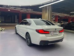 BMW 5 Series Facelift II 530Li M Sport Package - фото 19