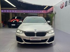 BMW 5 Series Facelift II 530Li M Sport Package - фото 3