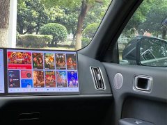 Li Auto Ideal L9 2022 Max - фото 19