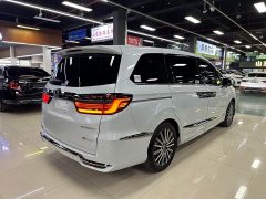 Elise 2.0L e:HEV Luxury Edition - фото 6