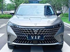 BMW Roewe RX5 New Energy eRX5 Super Hybrid Comfort Edition - фото 2
