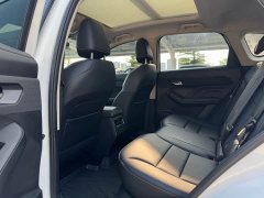 Haval Red Rabbit Exclusive Edition 1.5T Red Bronze Rabbit - фото 12