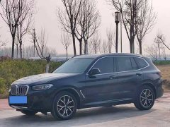BMW X3 xDrive25i M - фото 3