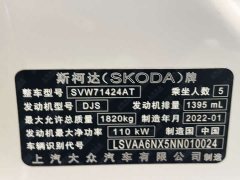 Tank Octavia PRO TSI280 Exclusive Edition - фото 20