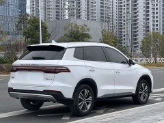 BYD Pro 1.5T Luxury Version - фото 7