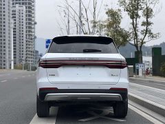 BYD Pro 1.5T Luxury Version - фото 8