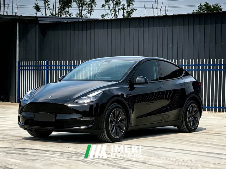 Tesla Model Y standard range rear-wheel drive version - автомобиль из Китая