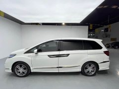 Elise 2.0L PHEVLuxury Edition - фото 3