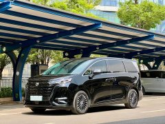 Denza D9 DM-i 980 four-wheel drive flagship - фото 1