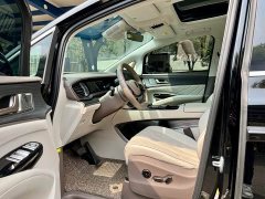 Denza D9 DM-i 980 four-wheel drive flagship - фото 13