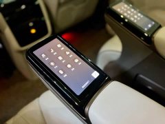 Denza D9 DM-i 980 four-wheel drive flagship - фото 18