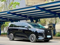 Denza D9 DM-i 980 four-wheel drive flagship - фото 7