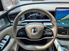 Denza D9 DM-i 980 four-wheel drive flagship - фото 9