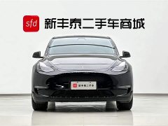 Tesla Model Y 2023 long-range all-wheel drive version - фото 2