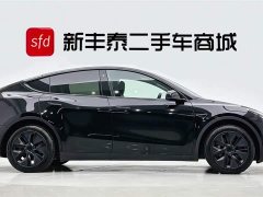 Tesla Model Y 2023 long-range all-wheel drive version - фото 3