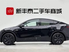 Tesla Model Y 2023 long-range all-wheel drive version - фото 4