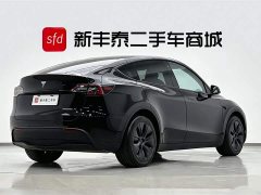 Tesla Model Y 2023 long-range all-wheel drive version - фото 5